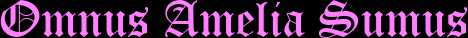 OMNUS AMELIA SUMUS